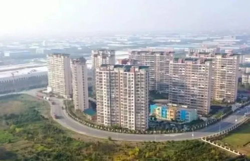 大連新春搶開(kāi)局 新特產(chǎn)業(yè)加速跑